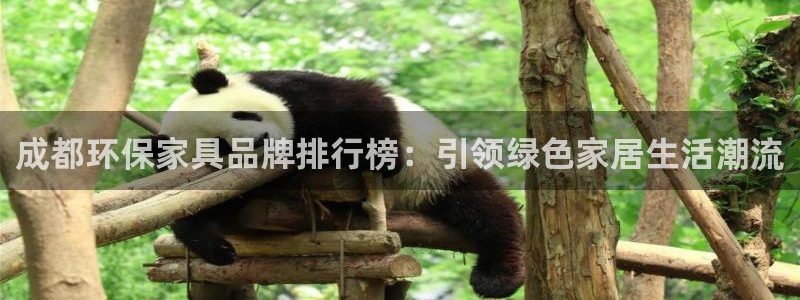 沐鸣平台代理登录网址是什么：成都环保家具品牌排行榜：引领绿色