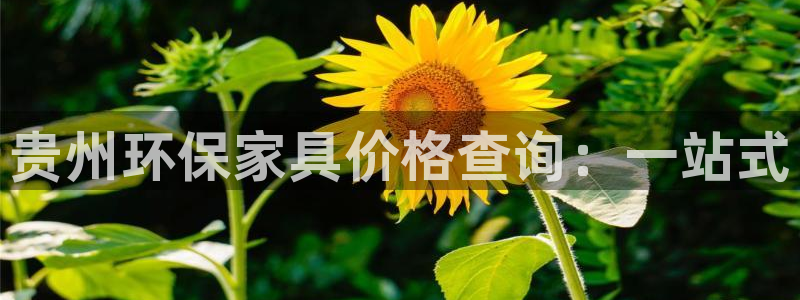 沐鸣平台代理怎么赚钱的：贵州环保家具价格查询：一站式
