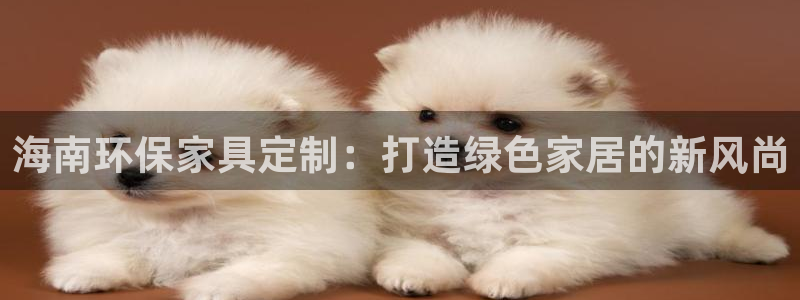 沐鸣平台注册问一问：海南环保家具定制：打造绿色家居的新风尚