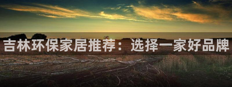 沐鸣平台代理登录网址是什么：吉林环保家居推荐：选择一家好品牌