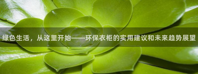 沐鸣平台测速登录：绿色生活，从这里开始——环保衣柜的实用建议