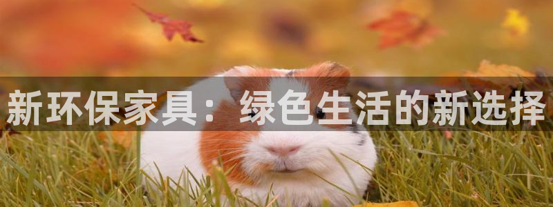 沐鸣平台已7O777：新环保家具：绿色生活的新选择